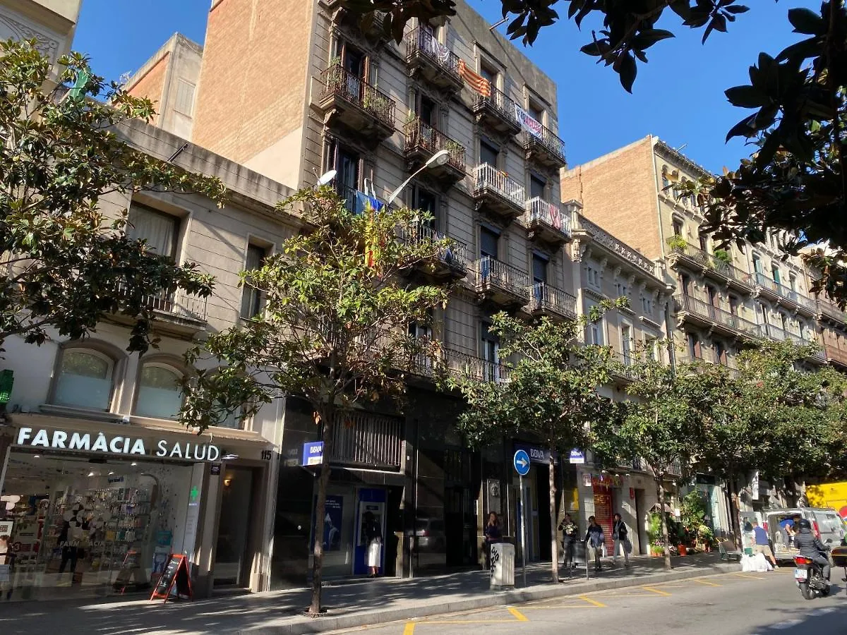 Barcelona Housing Recommend For Students Apartment